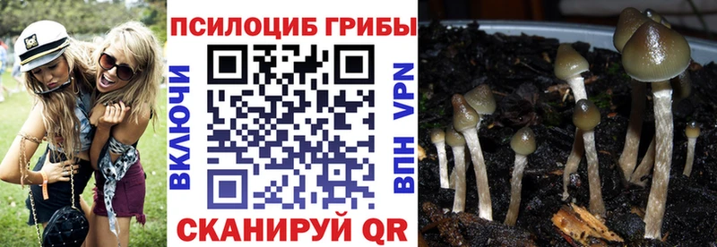 MEGA tor  Березники  площадка как зайти  сколько стоит  Псилоцибиновые грибы GOLDEN TEACHER 