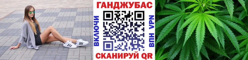 дарнет шоп  Березники  Бошки марихуана планчик 